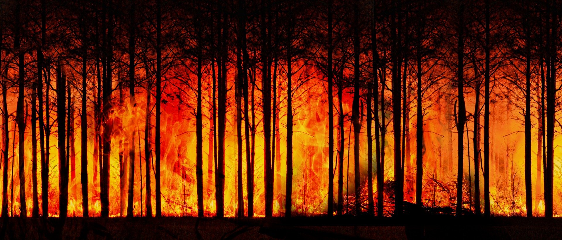 California college professor busted for arson spree contributing to the “Dixie Fire”